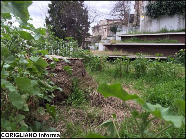 Rossano - Cura verde pubblico, Villa Labonia ai privati