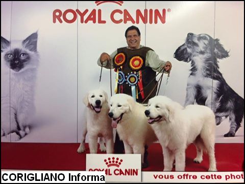 Cariati - European Dog Show 2016, trionfano i maremmani di Santamaria