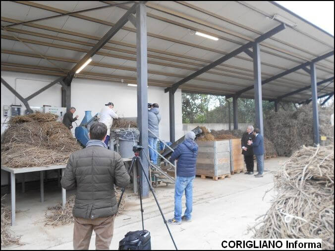 AMARELLI E ROSSANO SU CANALE CINQUE