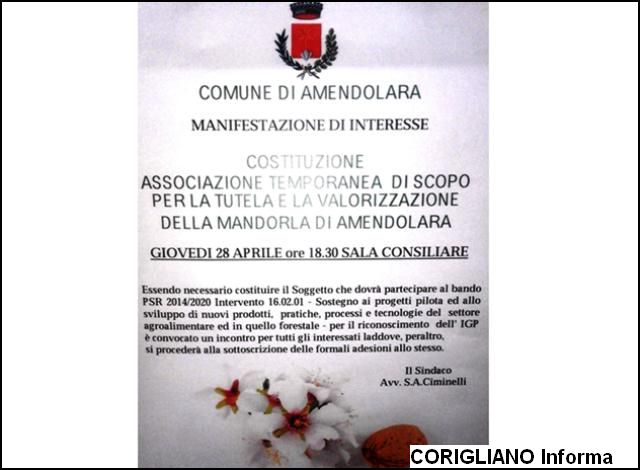 AMENDOLARA - IGP MANDORLA, NECESSARIO COSTITUIRE ASSOCIAZIONE