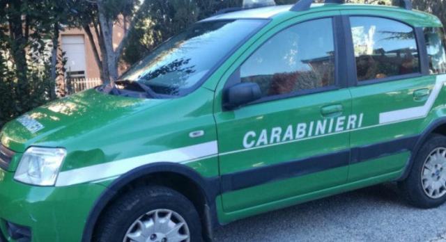 Crosia: Carabinieri sequestrano una recinzione in cemento armato