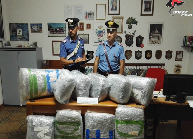 Viaggiava sulla S.S. 106 radd. con  55 kg di droga nel furgone: arrestato dai Carabinieri