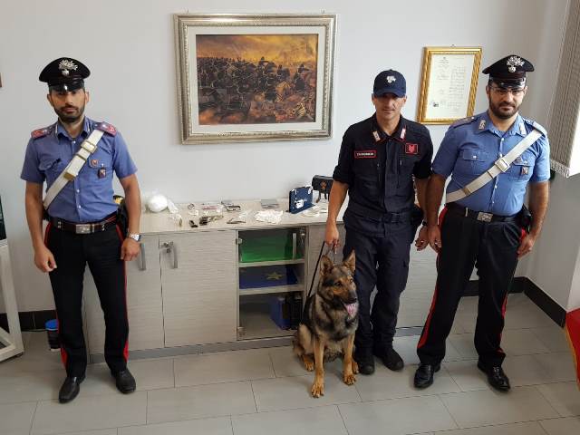 Mirto di Crosia (CS). Il cane Jettemors trova la cocaina e i carabinieri rinvengono pistola e munizioni: arrestato.