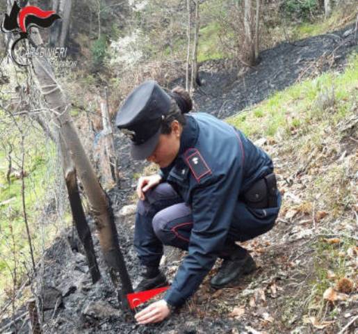 Longobucco: Aveva messo fuoco a dei residui vegetali. Denunciato il responsabile