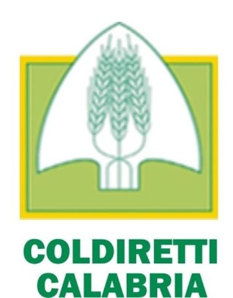 Coldiretti Calabria: incremento dei prezzi al consumo per frutta (+8%) e latte (+5%) ma i prezzi alla produzione sono negativi