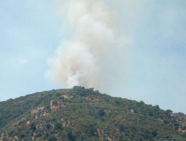 Vasto incendio nella montagna rossanese