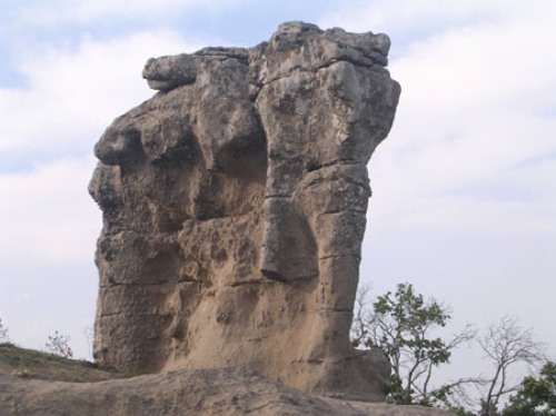 Campana - Elefante di pietra, riqualificazione area