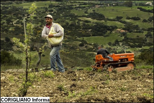 CANNA -  ISTITUZIONI LOCALI INVESTANO SUL RITORNO ALLA TERRA